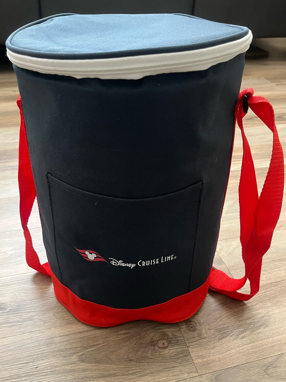 Disney Cooler